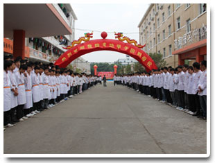 |W(xu)ԺɹW(xu)ӈ(bo)(hu)(dng)F(xin)