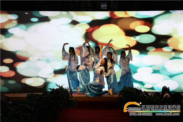 優(yōu)美的舞蹈