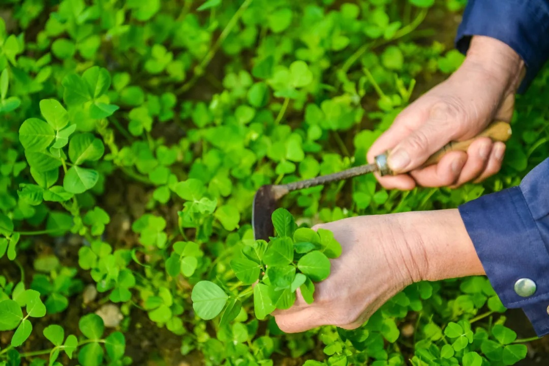 <a href=http://www.8881133.com target=_blank class=infotextkey>|W(xu)У</a>.jpg