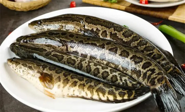 <a href=http://www.8881133.com target=_blank class=infotextkey>江西新東方烹飪學校</a>.jpg