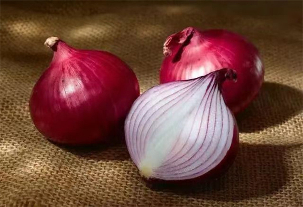 <a href=http://www.8881133.com target=_blank class=infotextkey>江西新東方烹飪學(xué)校</a>