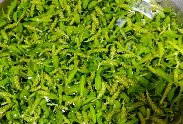 <a href=http://www.8881133.com target=_blank class=infotextkey>江西新東方烹飪學(xué)校</a>jpg