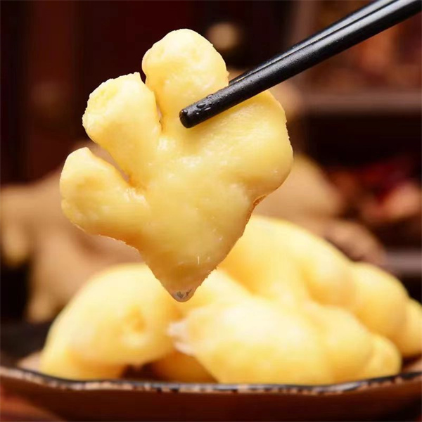 <a href=http://www.8881133.com target=_blank class=infotextkey>江西新東方烹飪學(xué)校</a>