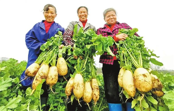 <a href=http://www.8881133.com target=_blank class=infotextkey>江西新東方烹飪學(xué)校</a>.jpg