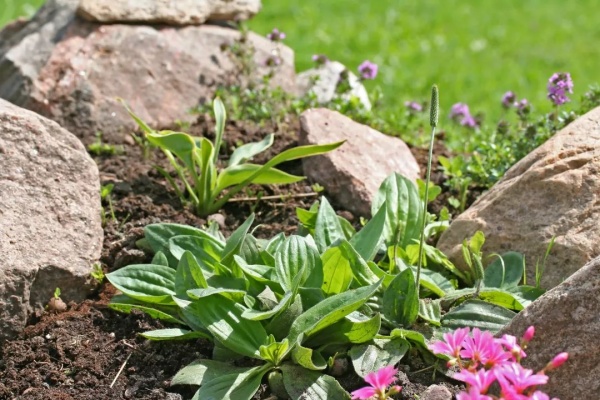 <a href=http://www.8881133.com target=_blank class=infotextkey>江西新東方烹飪學校</a>.jpg