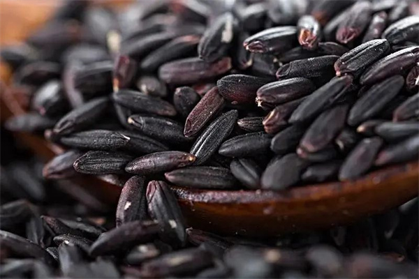 <a href=http://www.8881133.com target=_blank class=infotextkey>江西新東方烹飪學校</a>.jpg