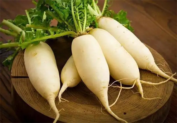 <a href=http://www.8881133.com target=_blank class=infotextkey>江西新東方烹飪學校</a>.jpg