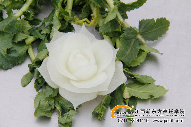 江西新東方雕花大賽