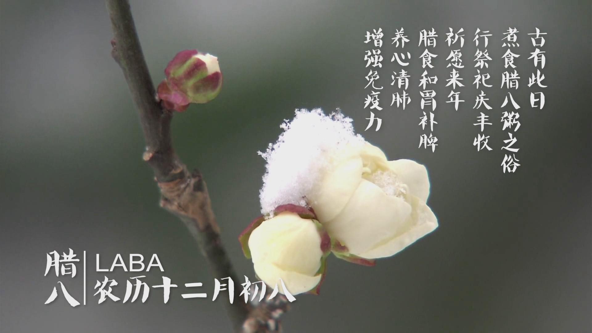 ����ϵĶ�ʮ�Ĺ�(ji��)�ⷬ��ƪ&mdash;&mdash;�D�˹�(ji��)