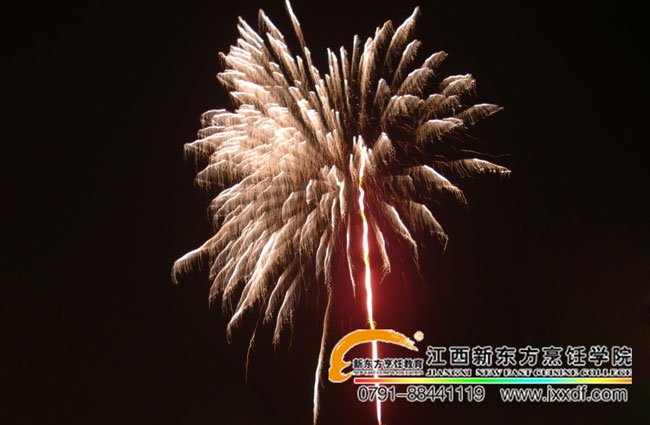 �����|��Ԫ��ϲ���R���W(xu��)�Ә�����