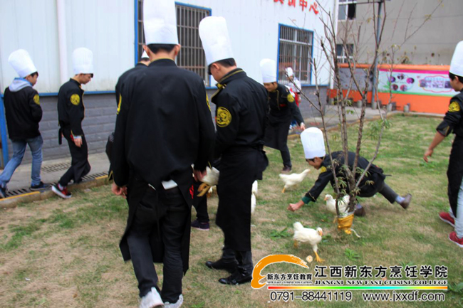 ��ɫ�̌W(xu��)���옷�W(xu��)�N�� �p�ɌW(xu��)����