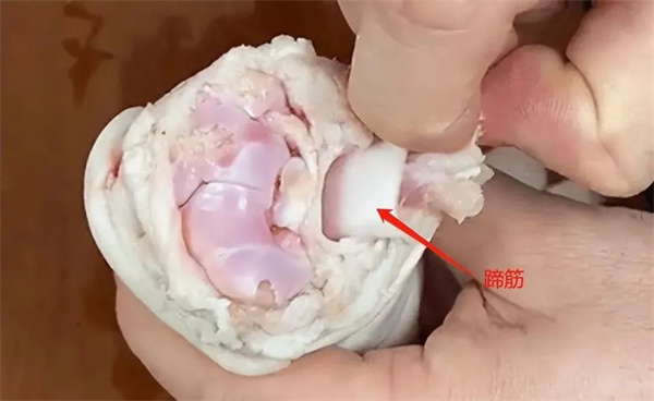 <a href=http://www.8881133.com target=_blank class=infotextkey>江西新東方烹飪學校</a>jpg