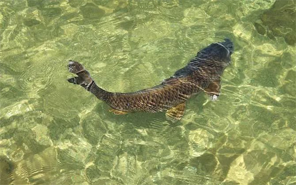 <a href=http://www.8881133.com target=_blank class=infotextkey>江西新東方烹飪學(xué)校</a>.jpg