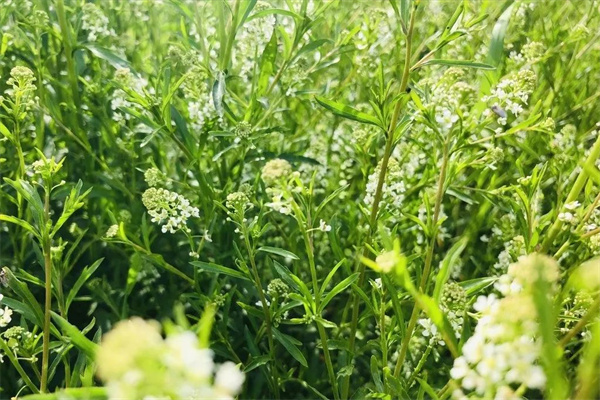 <a href=http://www.8881133.com target=_blank class=infotextkey>|W(xu)У</a>