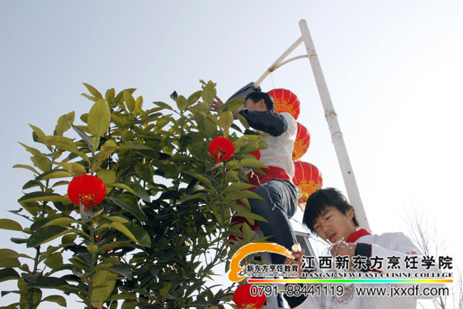 �_�����չ����Ф��ף��