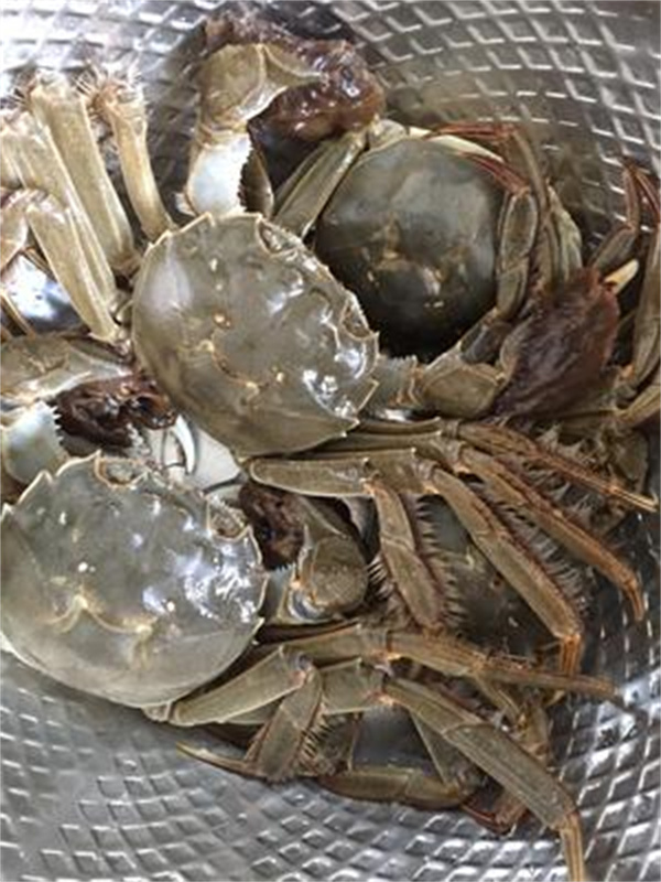 <a href=http://www.8881133.com target=_blank class=infotextkey>江西新東方烹飪學(xué)校</a>.jpg