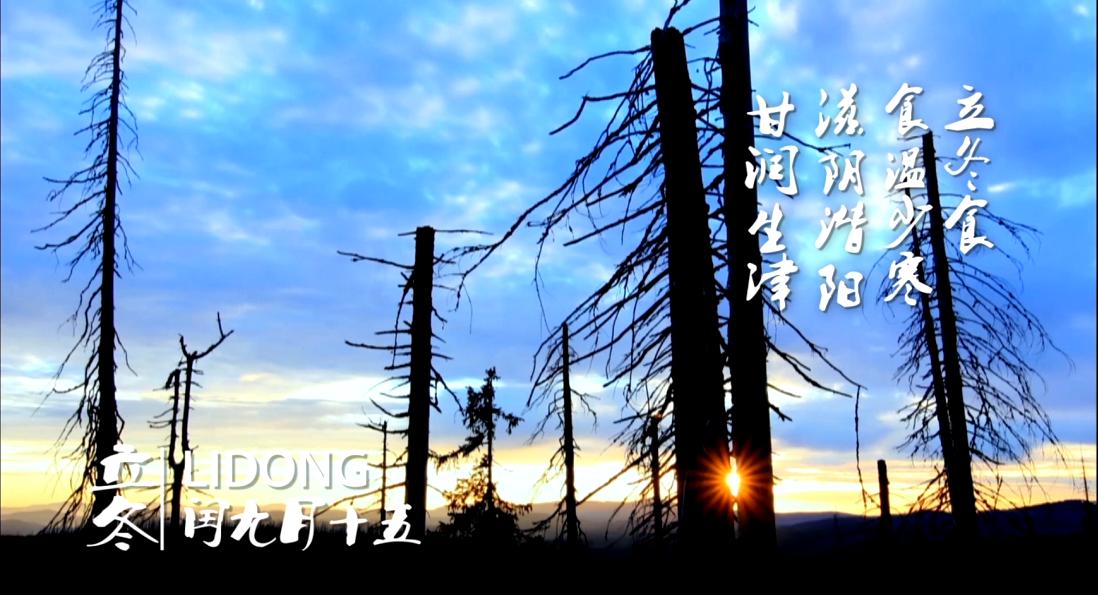 ����ϵĶ�ʮ�Ĺ�(ji��)��&mdash;&mdash;����