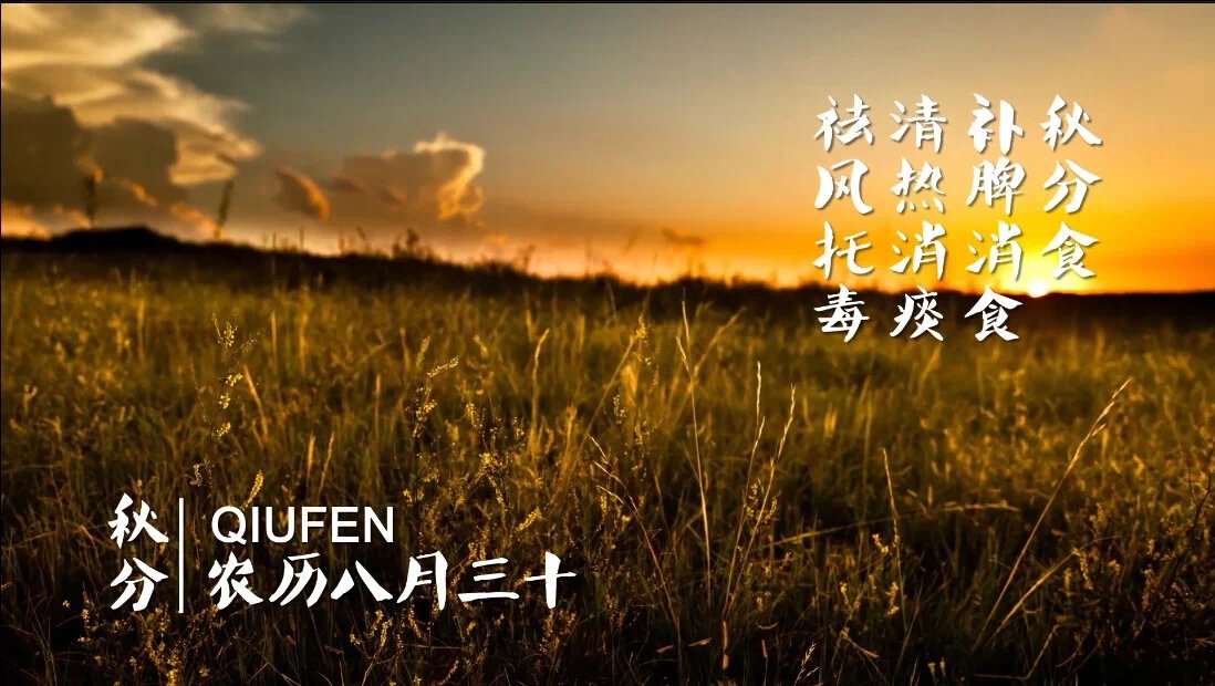 ����ϵĶ�ʮ�Ĺ�(ji��)��&mdash;&mdash;���ƪ