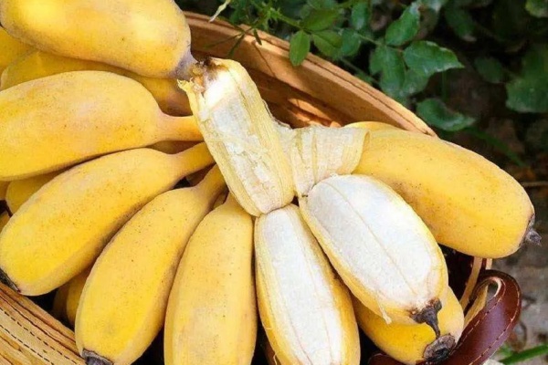 <a href=http://www.8881133.com target=_blank class=infotextkey>江西新東方烹飪學(xué)校</a>.jpg