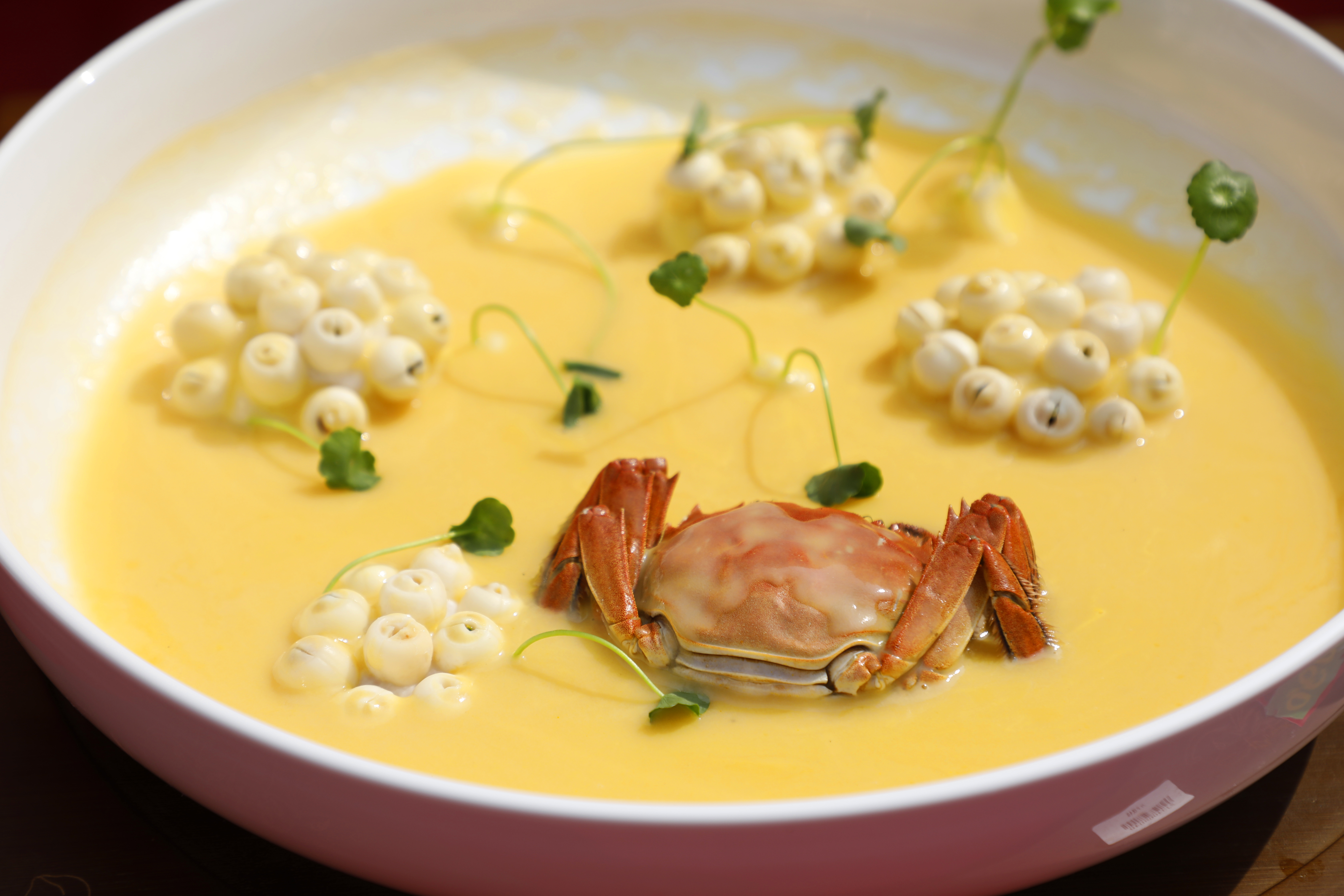 ���օ�ِ��Ʒ�p��