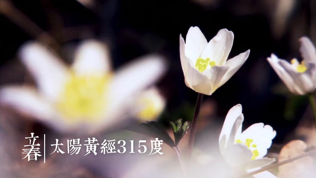 ����ϵĶ�ʮ�Ĺ�(ji��)��&mdash;&mdash;����