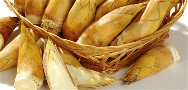 <a href=http://www.8881133.com target=_blank class=infotextkey>江西新東方烹飪學(xué)校</a>.jpg