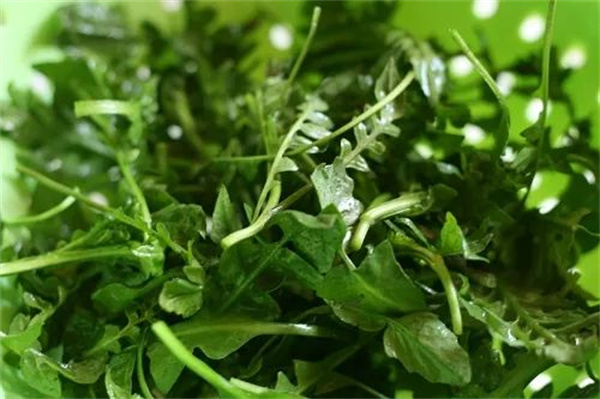 <a href=http://www.8881133.com target=_blank class=infotextkey>江西新東方烹飪學(xué)校</a>.jpg