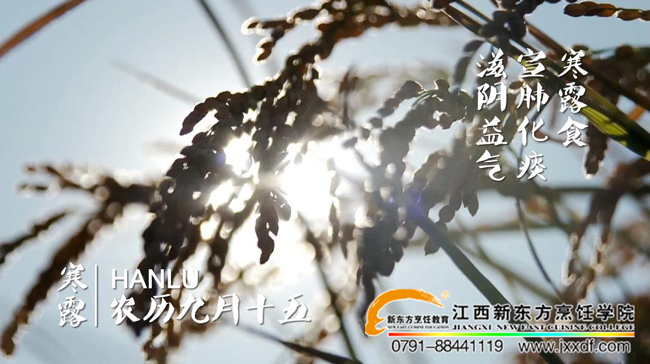 ����ϵĶ�ʮ�Ĺ�(ji��)��&mdash;&mdash;��¶