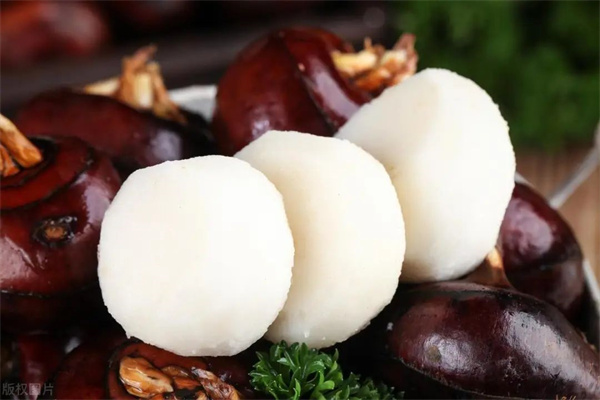 <a href=http://www.8881133.com target=_blank class=infotextkey>江西新東方烹飪學(xué)校</a>.jpg