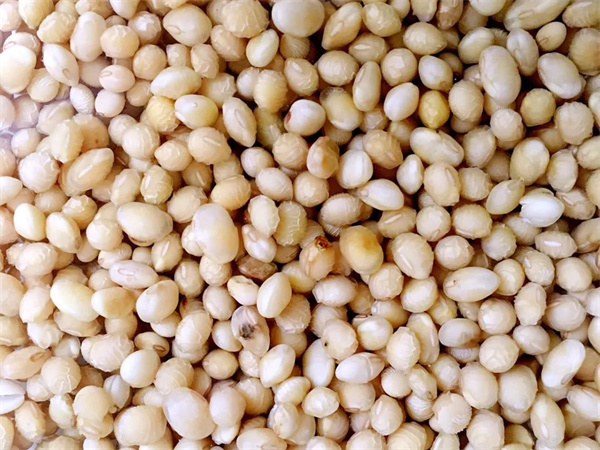 <a href=http://www.8881133.com target=_blank class=infotextkey>江西新東方烹飪學(xué)校</a>.jpg