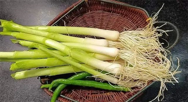 <a href=http://www.8881133.com target=_blank class=infotextkey>江西新東方烹飪學校</a>.jpg