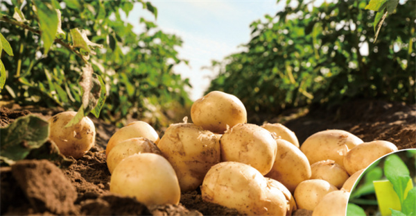 <a href=http://www.8881133.com target=_blank class=infotextkey>江西新東方烹飪學(xué)校</a>.jpg