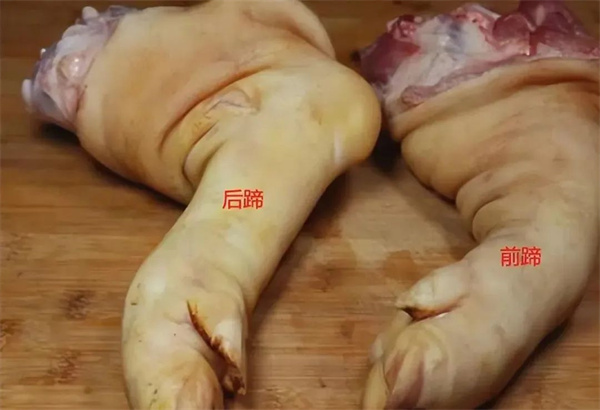 <a href=http://www.8881133.com target=_blank class=infotextkey>江西新東方烹飪學校</a>