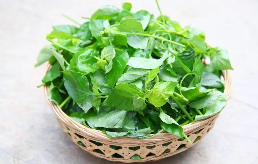 <a href=http://www.8881133.com target=_blank class=infotextkey>江西新東方烹飪學(xué)院</a>.jpg