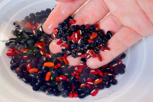 <a href=http://www.8881133.com target=_blank class=infotextkey>江西新東方烹飪學(xué)校</a>.jpg