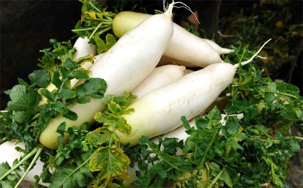 <a href=http://www.8881133.com target=_blank class=infotextkey>江西新東方烹飪學校</a>.jpg