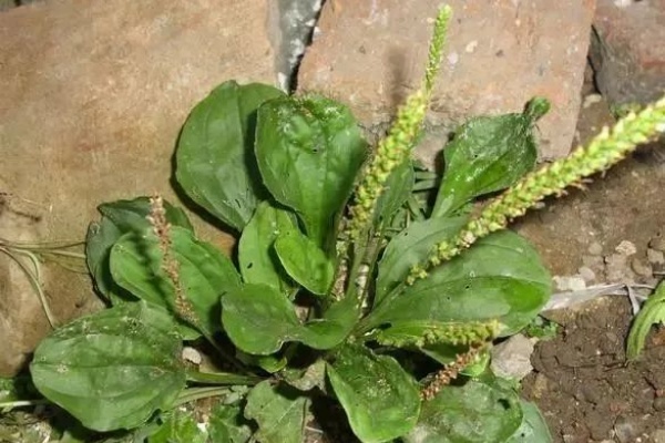 <a href=http://www.8881133.com target=_blank class=infotextkey>江西新東方烹飪學校</a>.jpg