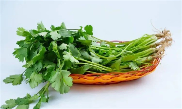 <a href=http://www.8881133.com target=_blank class=infotextkey>江西新東方烹飪學校</a>jpg