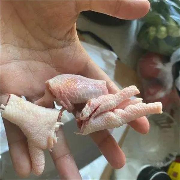 <a href=http://www.8881133.com target=_blank class=infotextkey>江西新東方烹飪學(xué)校</a>.jpg