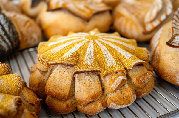 <a href=http://www.8881133.com target=_blank class=infotextkey>江西新東方烹飪學(xué)校</a>.jpg