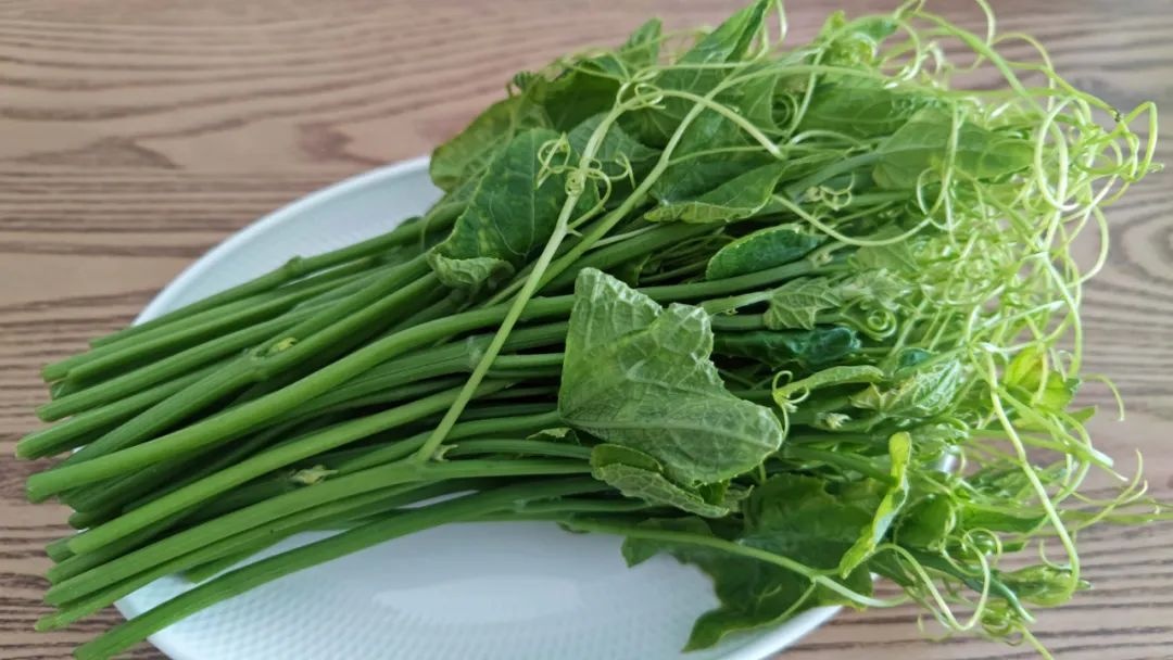 <a href=http://www.8881133.com target=_blank class=infotextkey>|WУ</a>.jpg