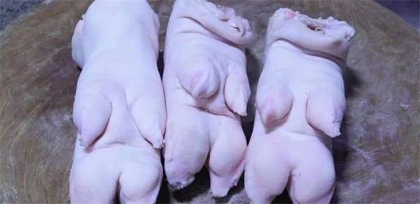 <a href=http://www.8881133.com target=_blank class=infotextkey>江西新東方烹飪學校</a>.jpg