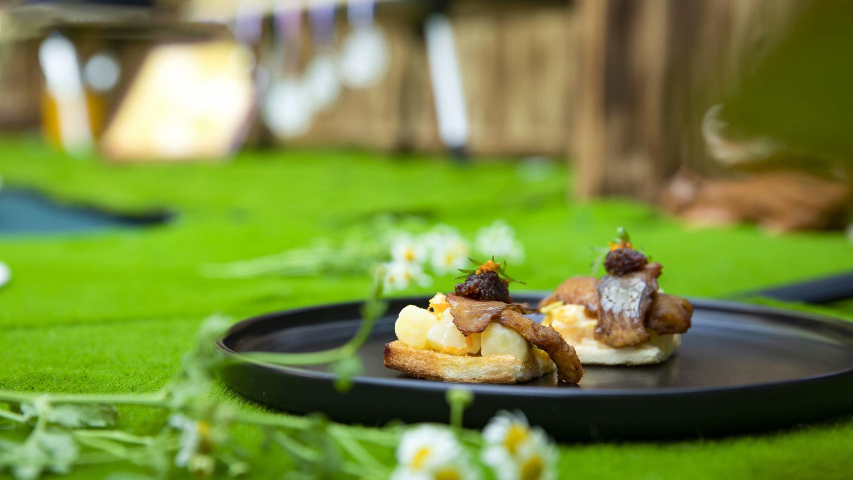 <a href=http://www.8881133.com target=_blank class=infotextkey>江西新東方烹飪學校</a>.jpg