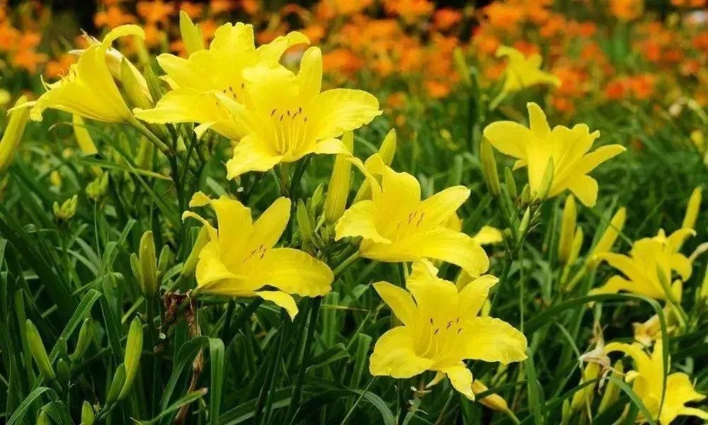 <a href=http://www.8881133.com target=_blank class=infotextkey>|W(xu)У</a>.jpg