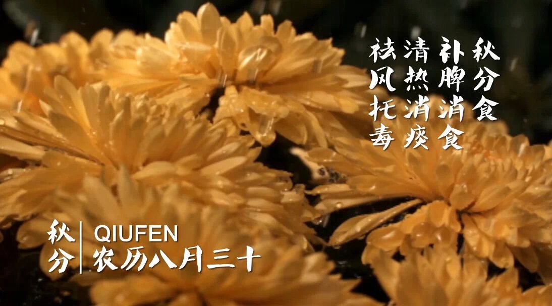 ����ϵĶ�ʮ�Ĺ�(ji��)��&mdash;&mdash;���ƪ