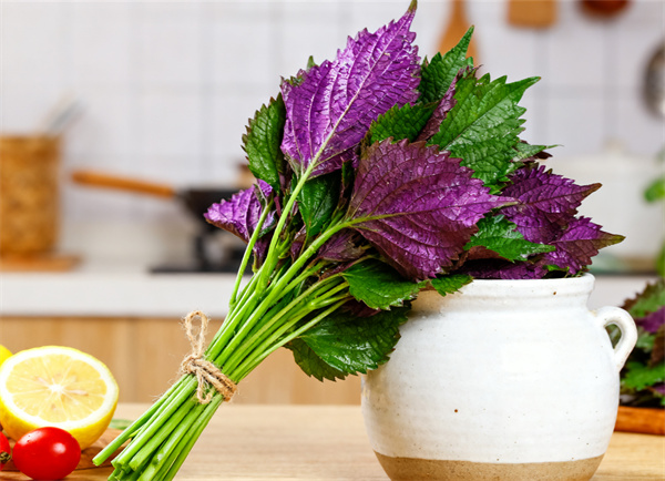 牛肉腌制技巧 (1).jpg