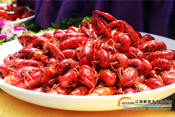 江西新東方首屆龍蝦文化美食節(jié)
