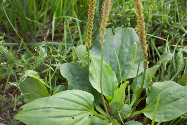 <a href=http://www.8881133.com target=_blank class=infotextkey>江西新東方烹飪學校</a>.jpg