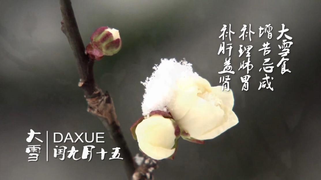 ����ϵĶ�ʮ�Ĺ�(ji��)��&mdash;&mdash;��ѩ