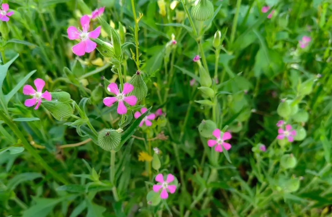 <a href=http://www.8881133.com target=_blank class=infotextkey>江西新東方烹飪學校</a>.jpg